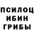 Псилоцибиновые грибы Cubensis MsGerunda
