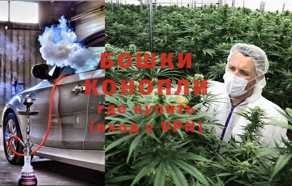 ПСИЛОЦИБИНОВЫЕ ГРИБЫ Баксан