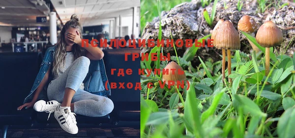 дживик Балабаново
