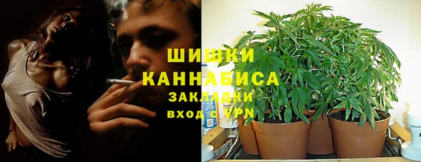 ПСИЛОЦИБИНОВЫЕ ГРИБЫ Баксан
