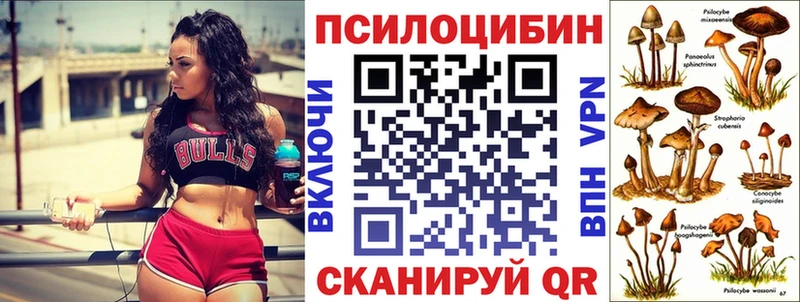 OMG ССЫЛКА  Петухово  Галлюциногенные грибы прущие грибы 